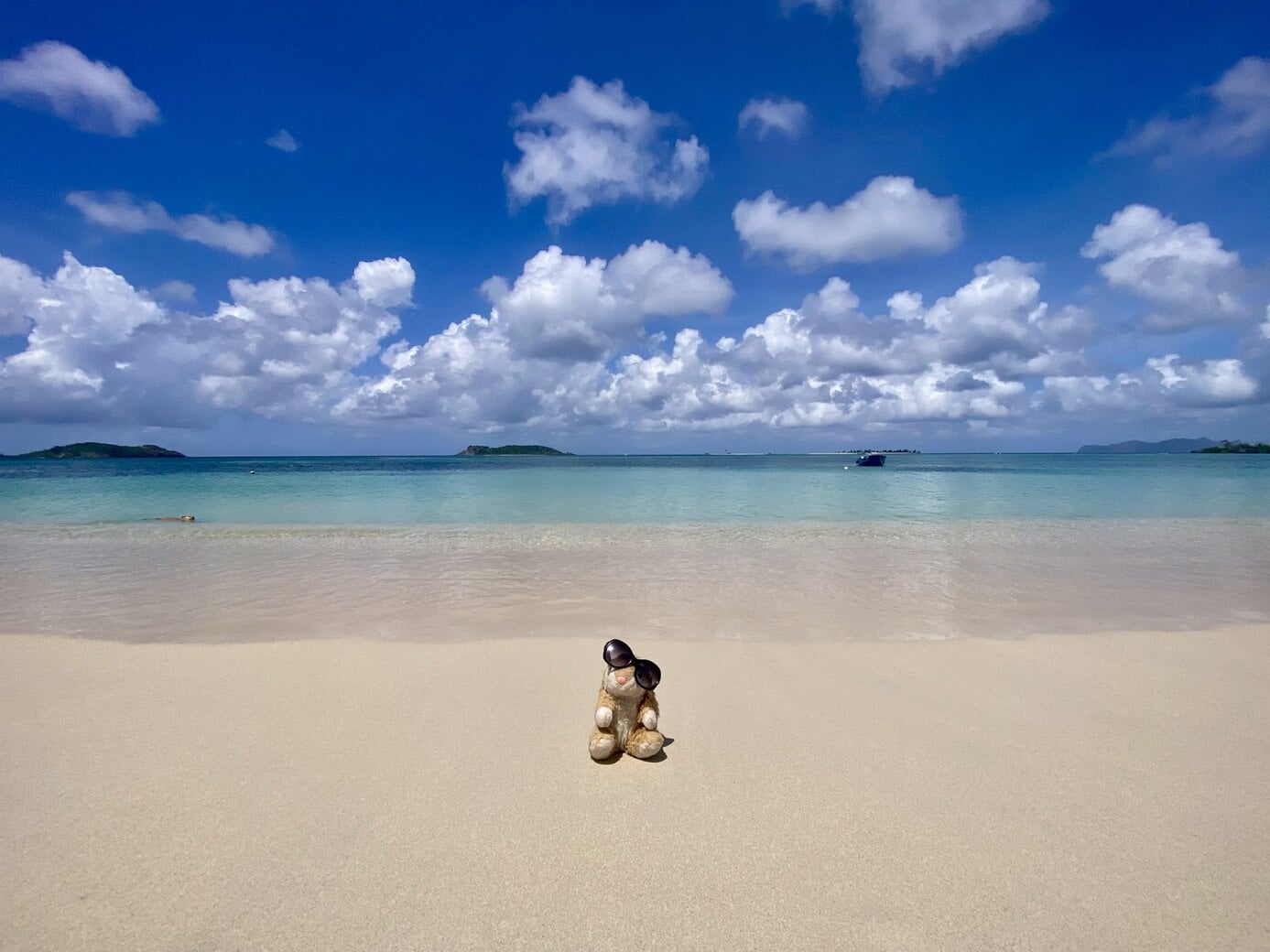 Paradise Beach Carriacou's finest