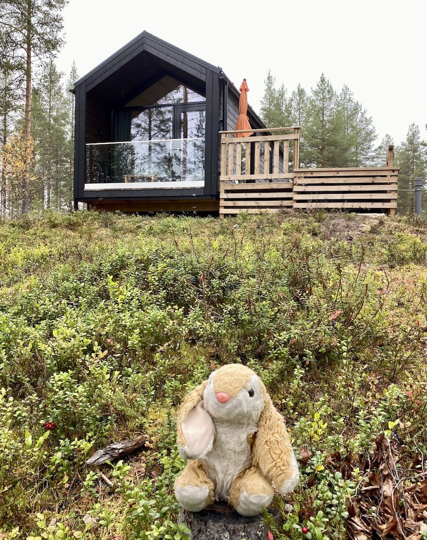 Bunny's cabin No tents for Bunny!