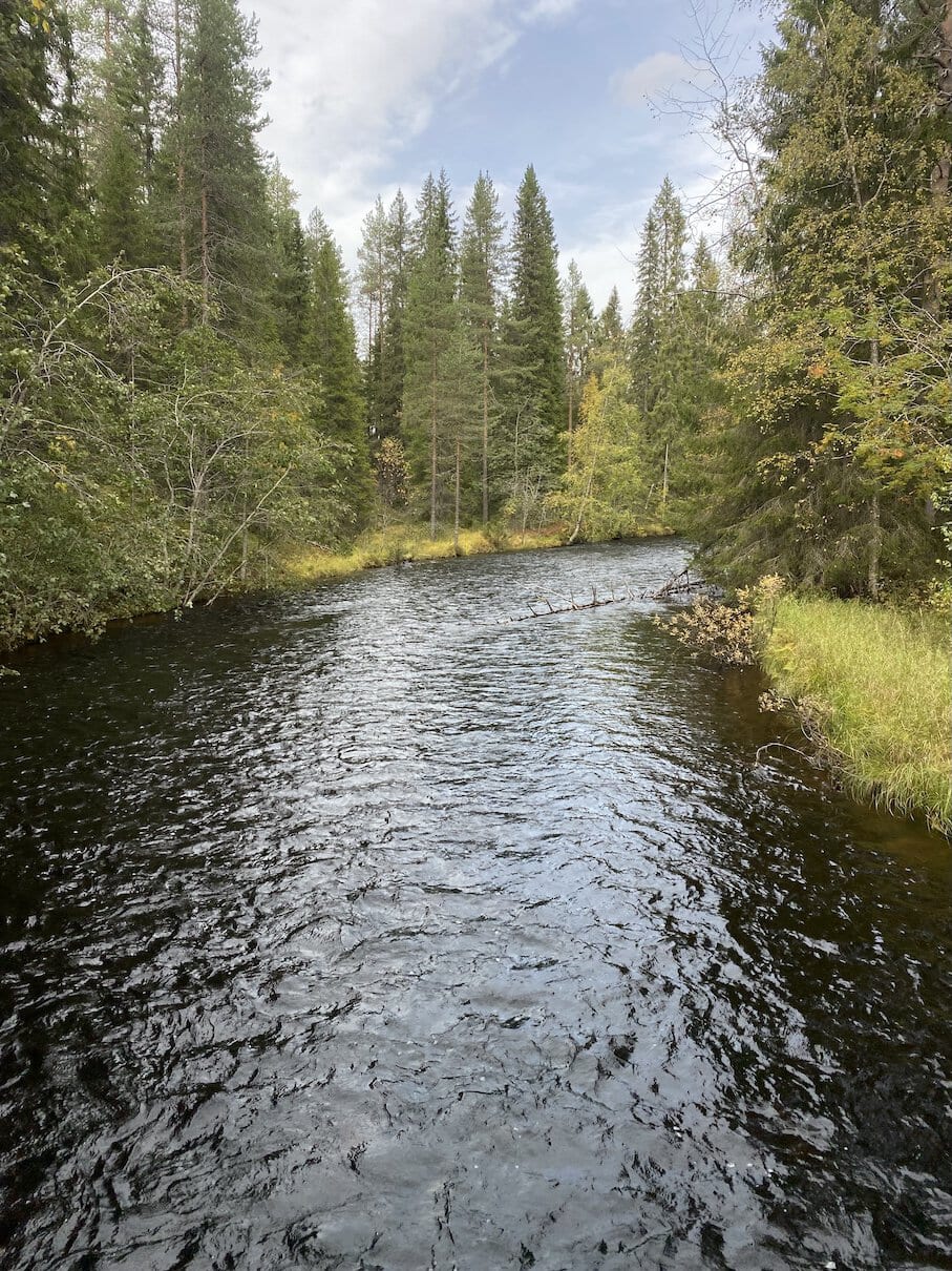 Deceptively calm Torkonluikea