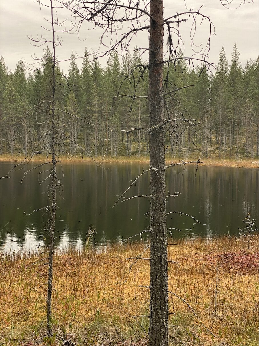 Hossa scenery Gloomy but beautiful