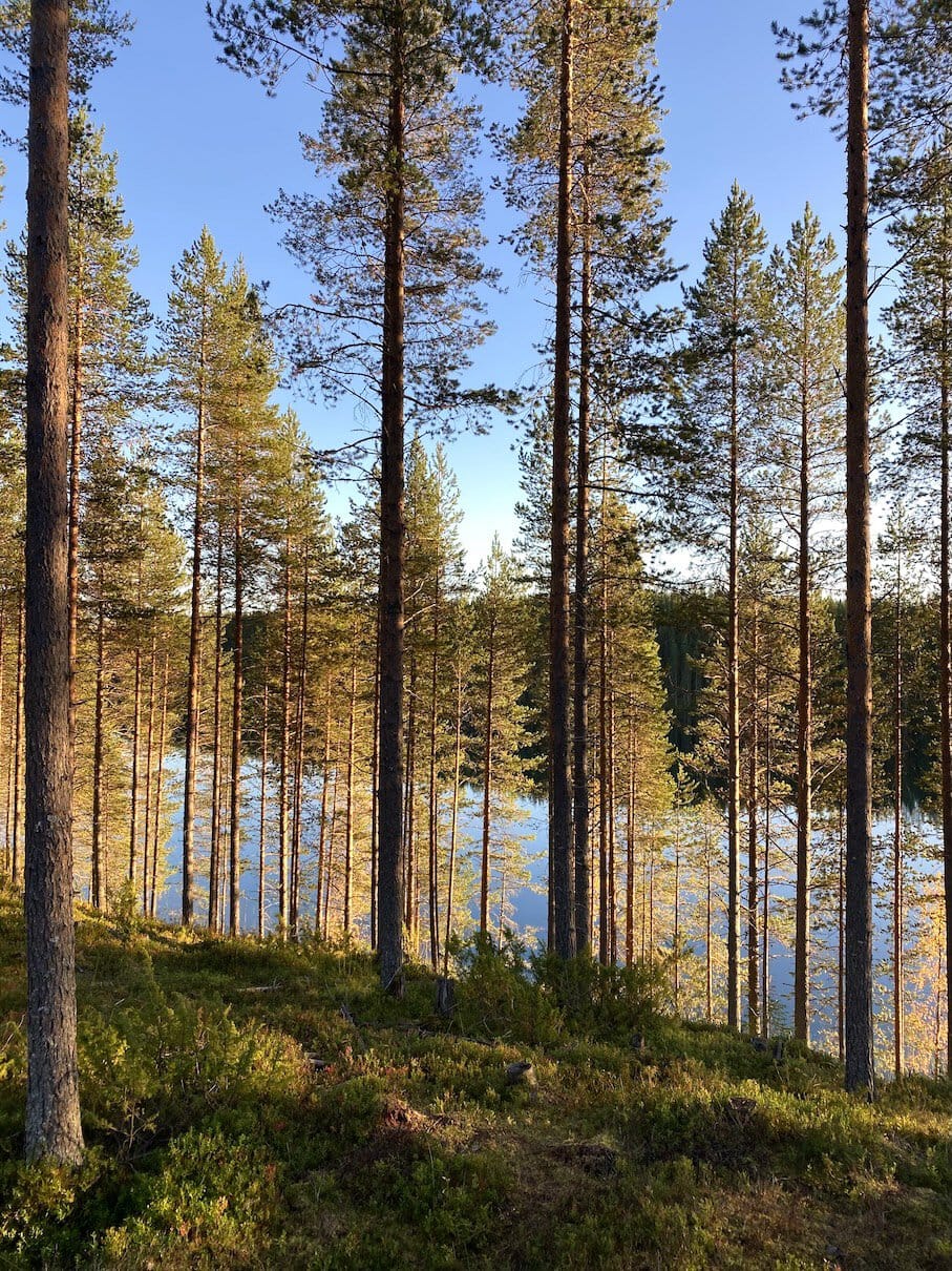 Lake Öllöri Beautiful view