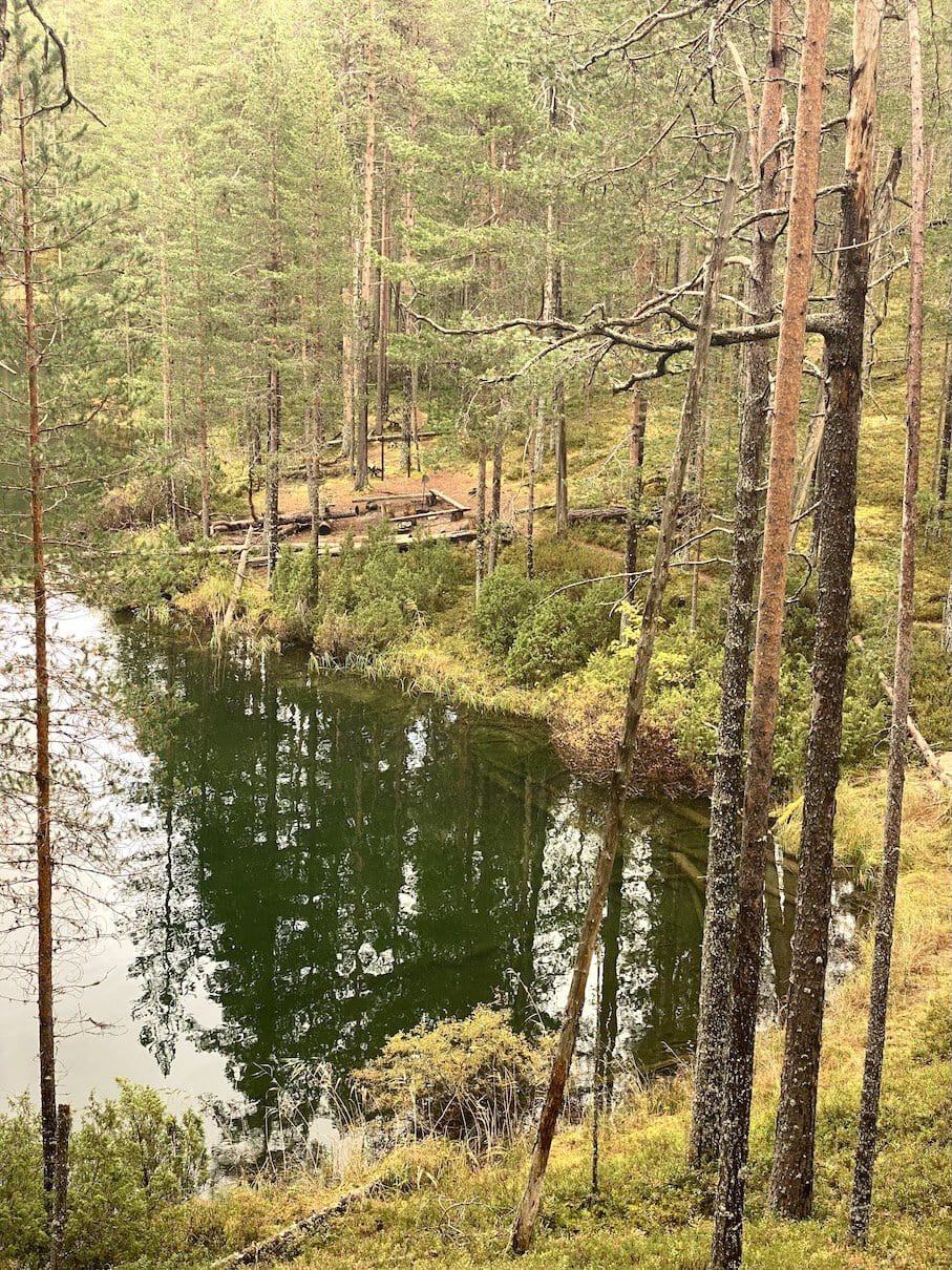 Peace and quiet Hossa woods