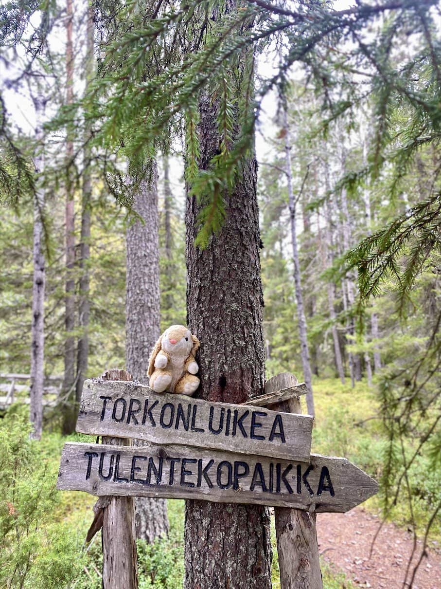 Torkonluikea Lunch spot